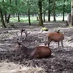 Feriehus Het Vlindertje
