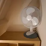 Het Vlindertje * 杜柏