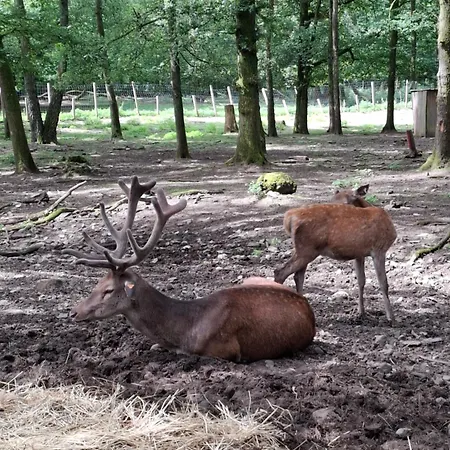 Vakantiehuis Het Vlindertje