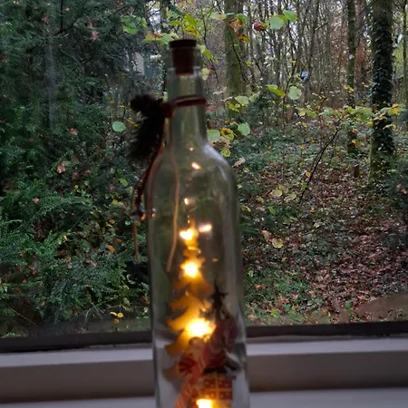 Het Vlindertje *