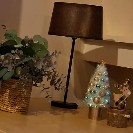 Dom wakacyjny Het Vlindertje *