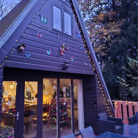 Dom wakacyjny Het Vlindertje